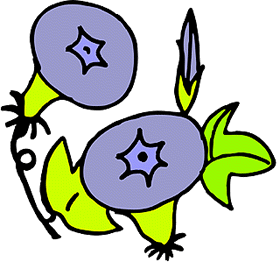 flower1.BMP (220136 bytes)