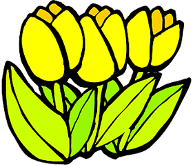 flower3.BMP (200816 bytes)