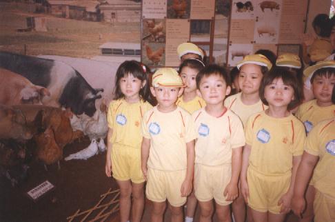 visi_tfarm.jpg (33968 bytes)